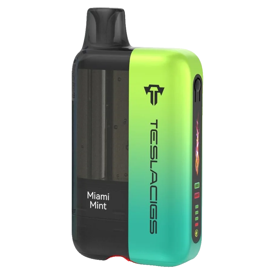 Miami Mint Teslacigs XT - Disposable 25K by TESLACIGS
